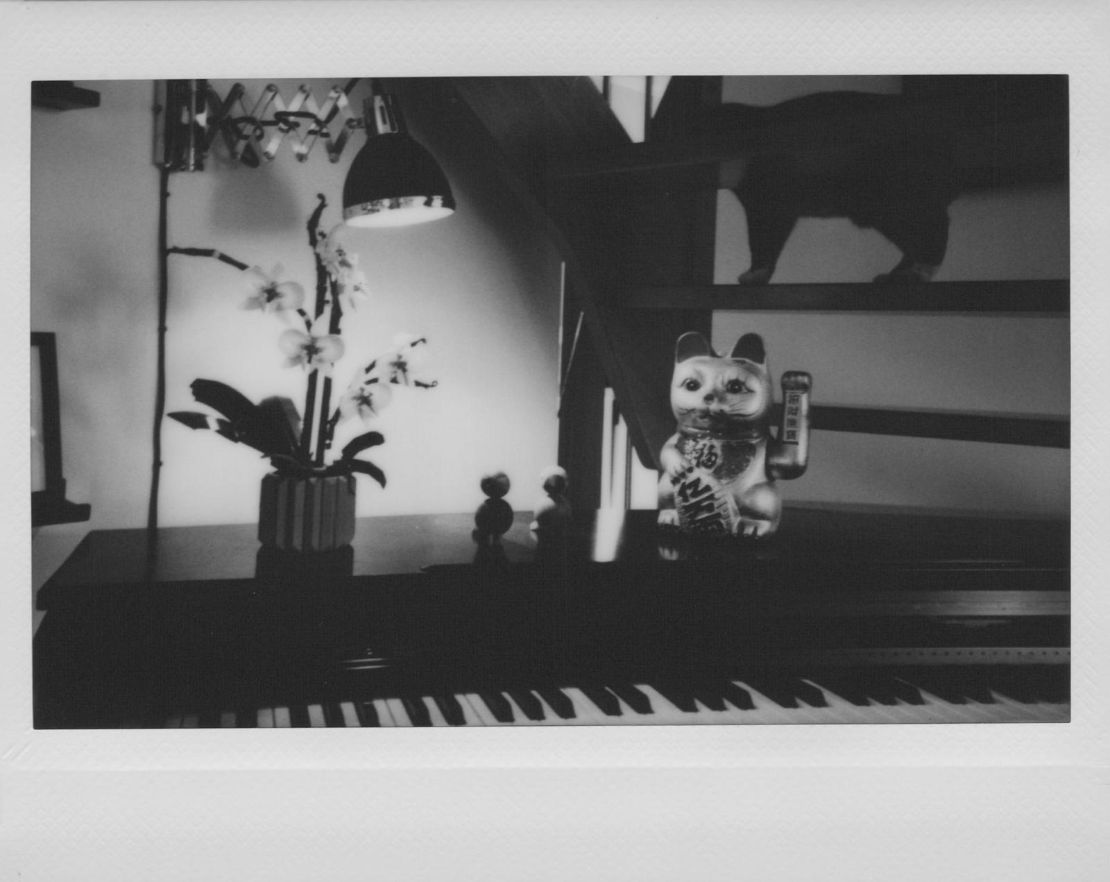 Portrait at café, wine glass